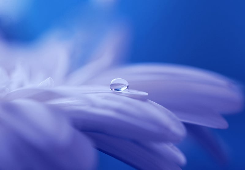 Magical Acts